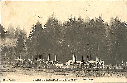 Vaux g�n� 13.JPG